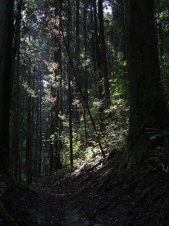 P9301142_thumb.png