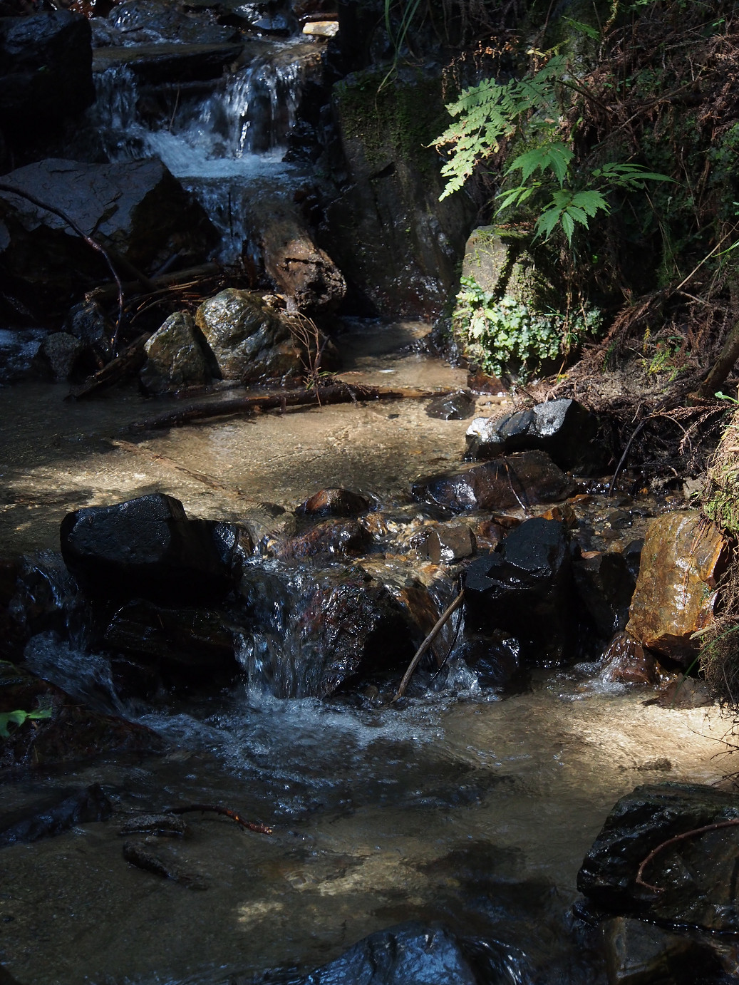 P9301143.jpg