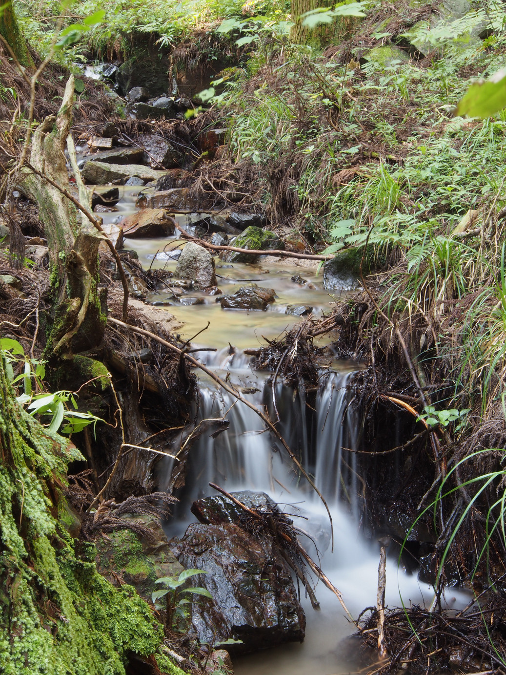 P9301154.jpg