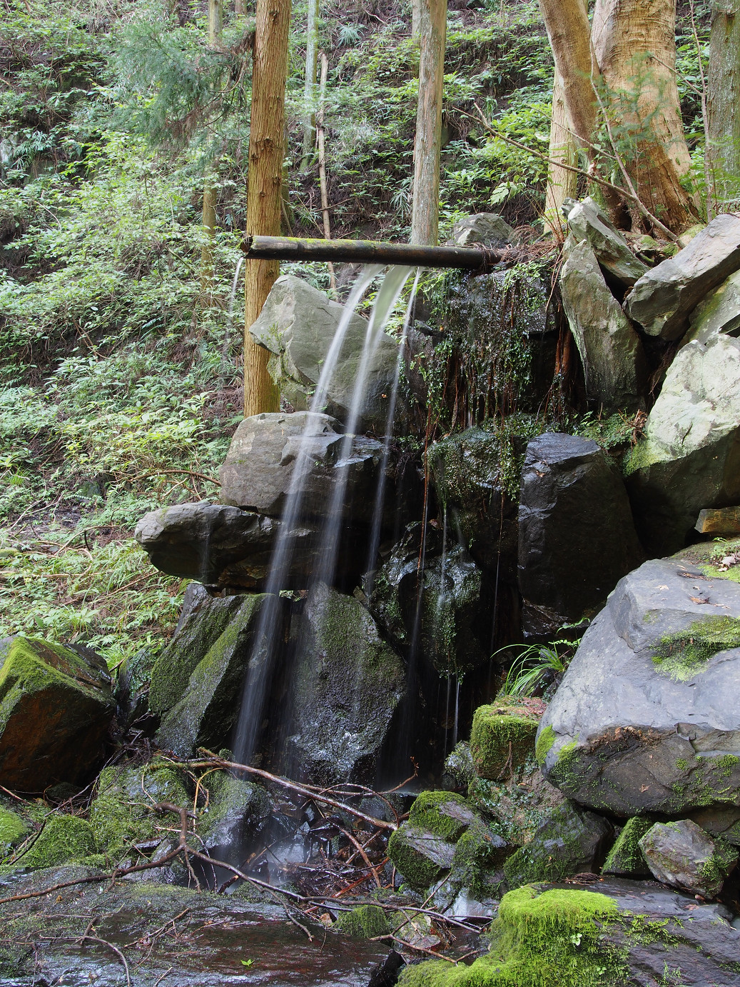 P9301160.jpg
