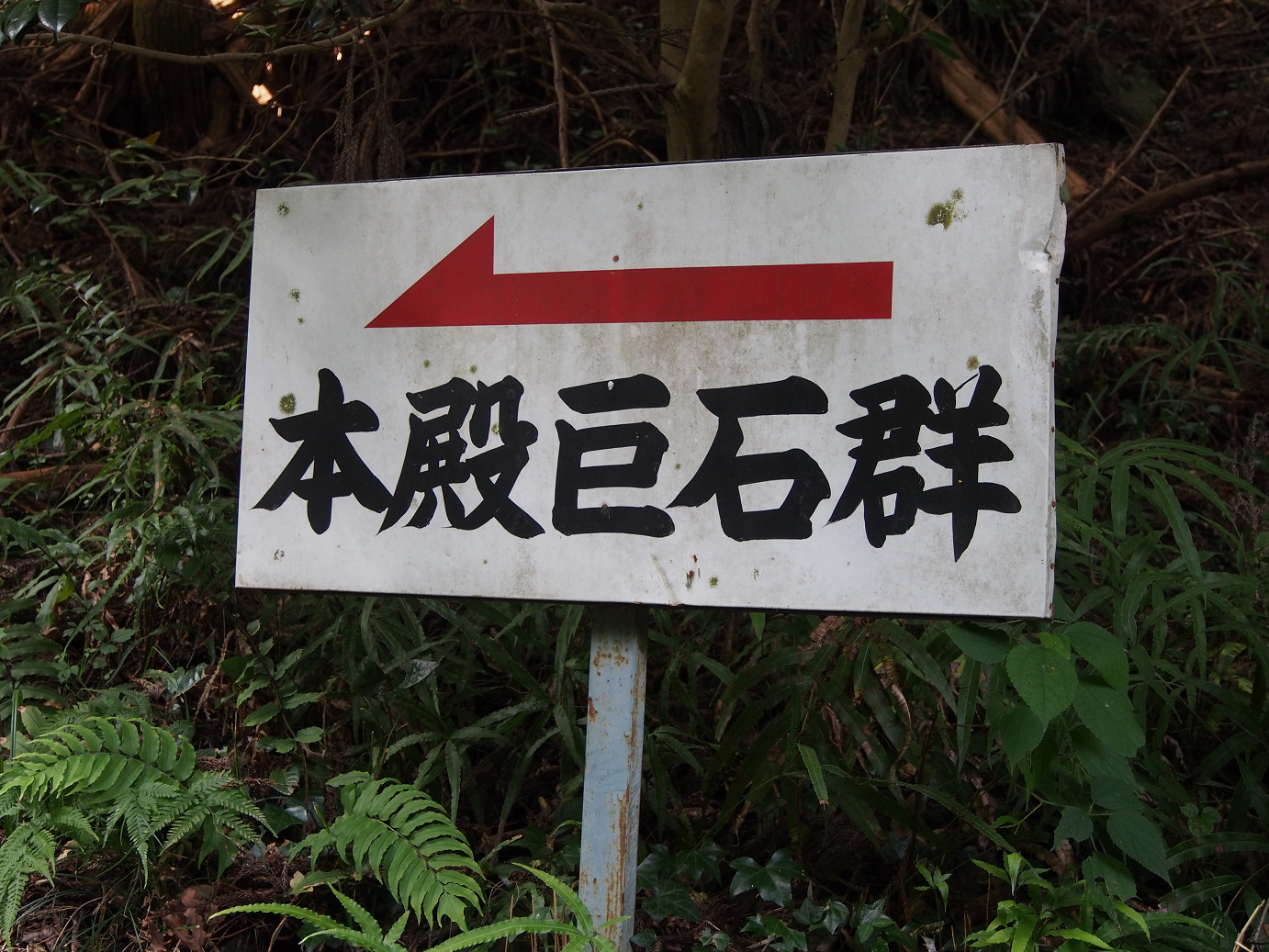 P9301161.jpg