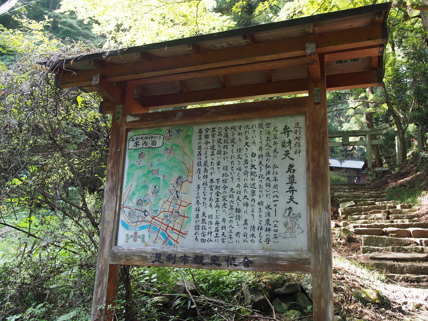 P9301162.jpg