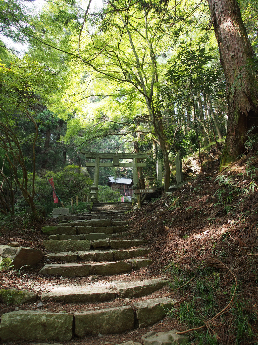 P9301163.jpg