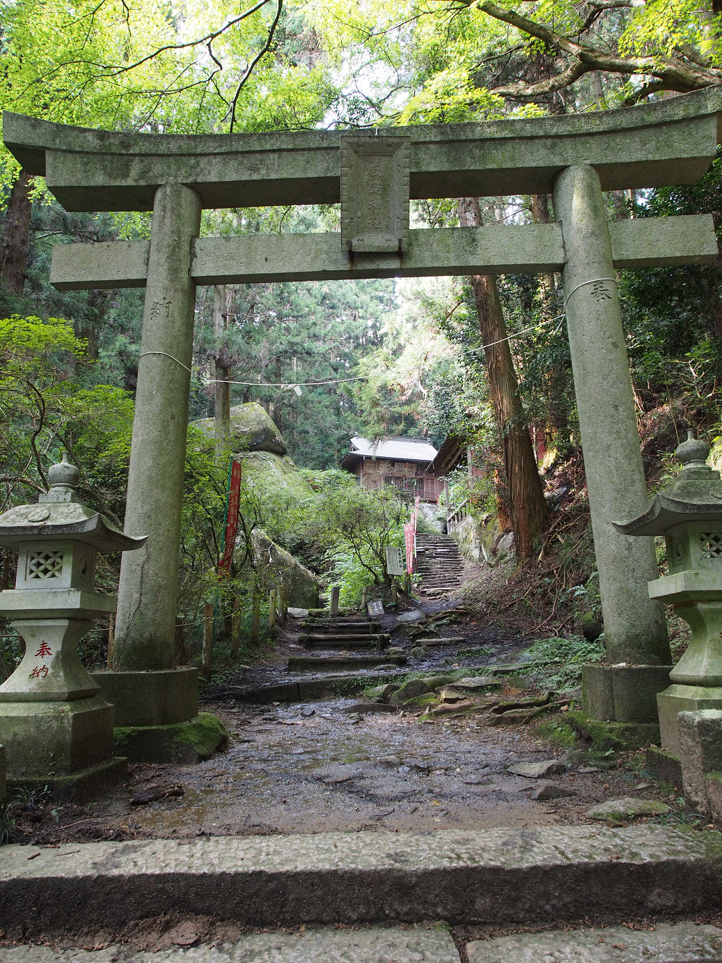 P9301164.jpg