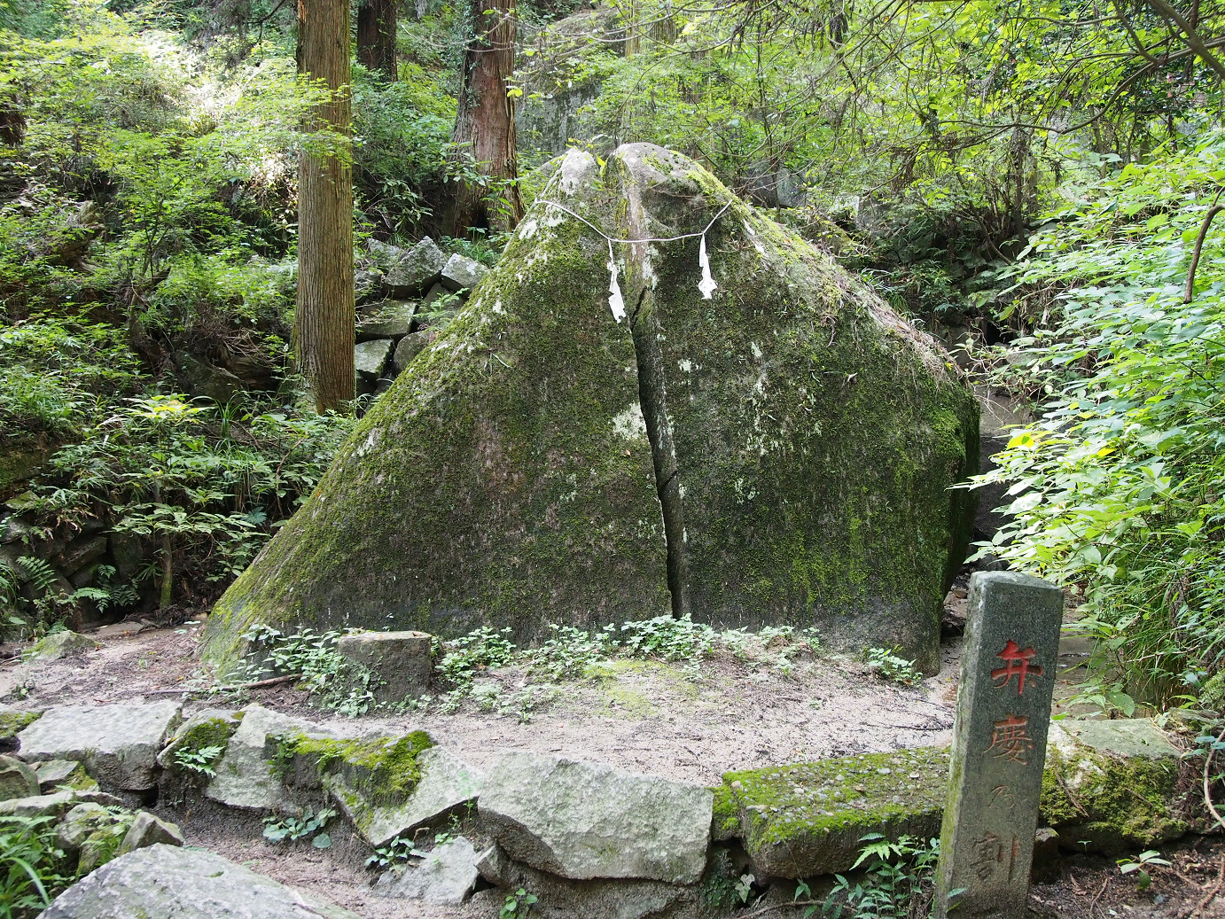 P9301165.jpg
