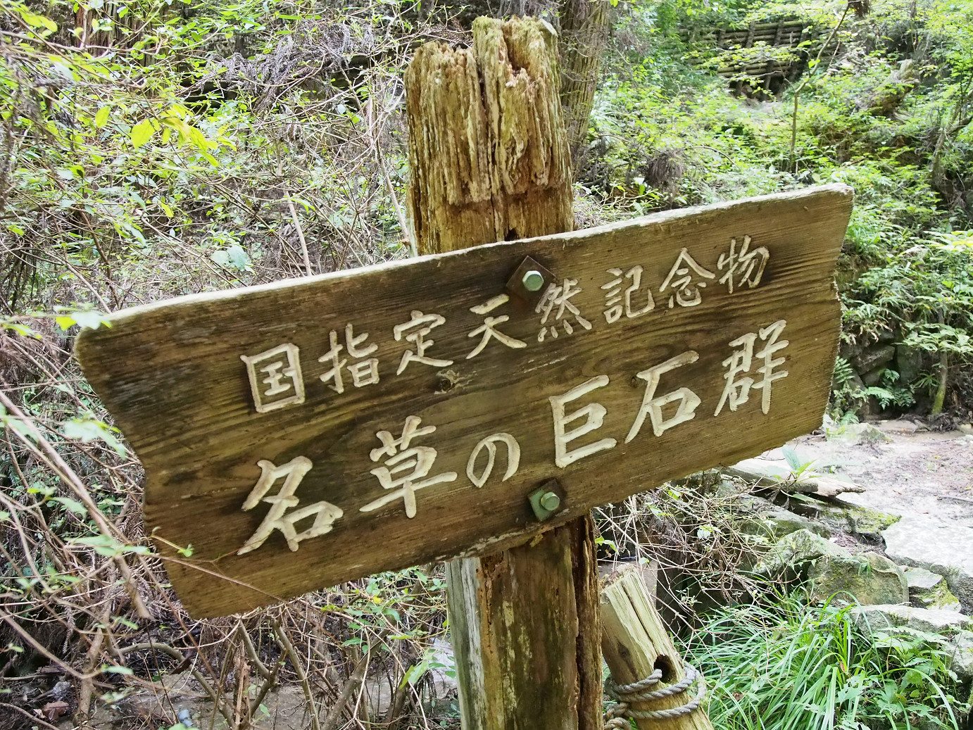 P9301166.jpg