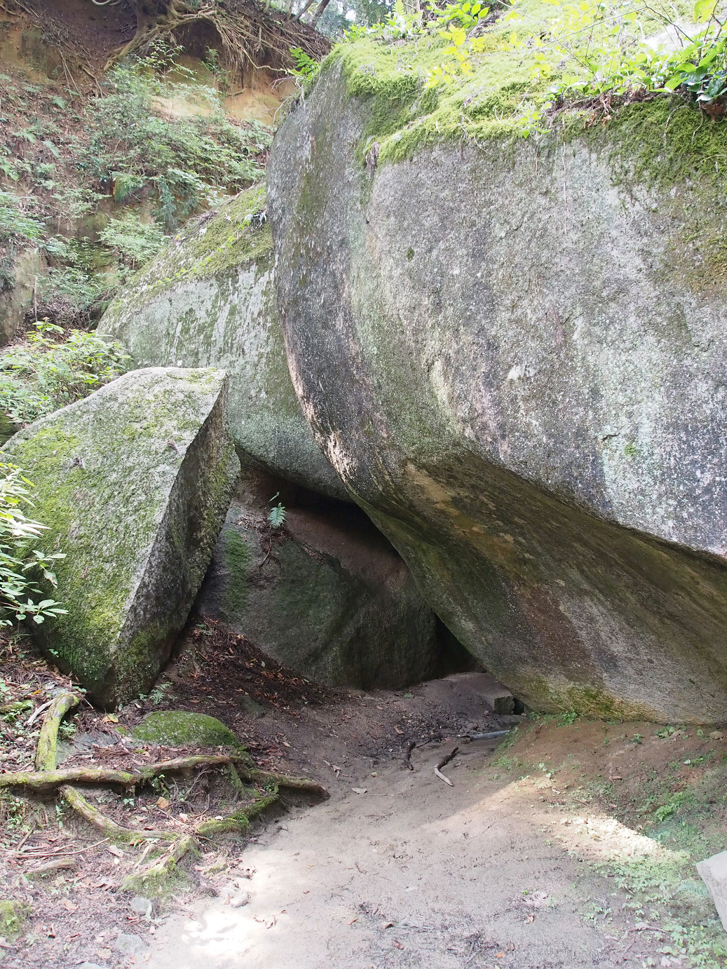 P9301168.jpg