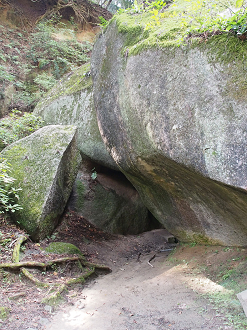 P9301168_thumb.png