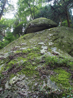 P9301170_thumb.png
