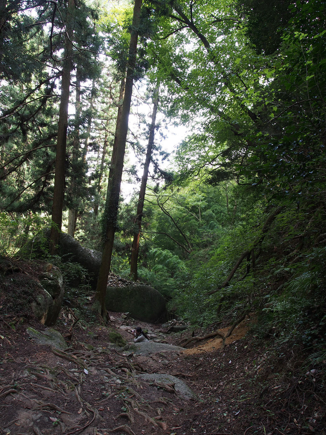 P9301176.jpg