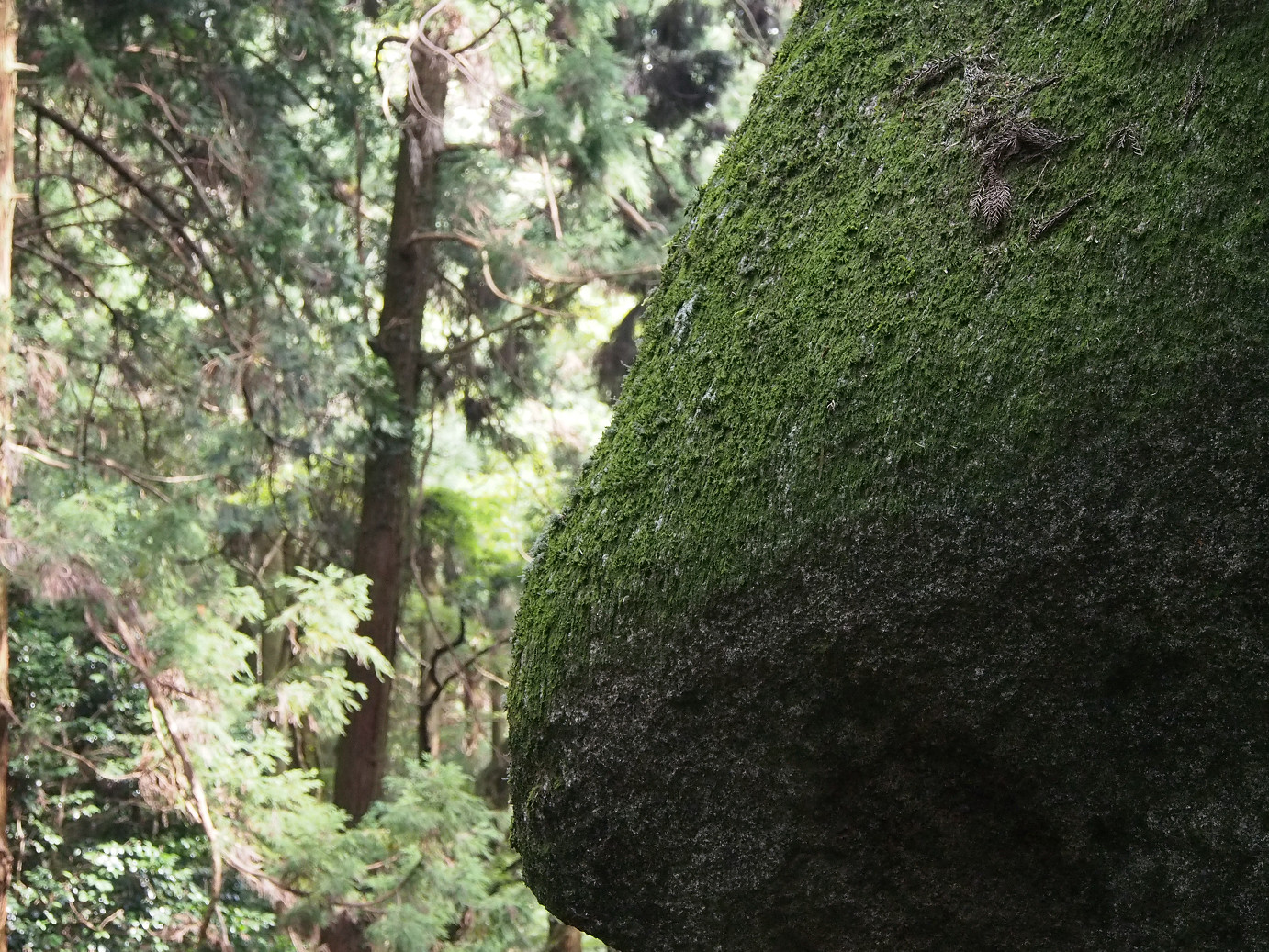 P9301181.jpg
