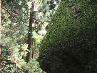 P9301181_thumb.png
