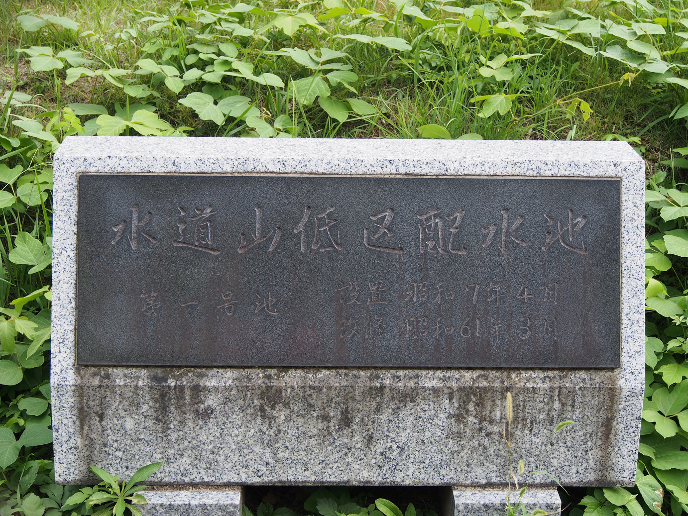 P9301227.jpg