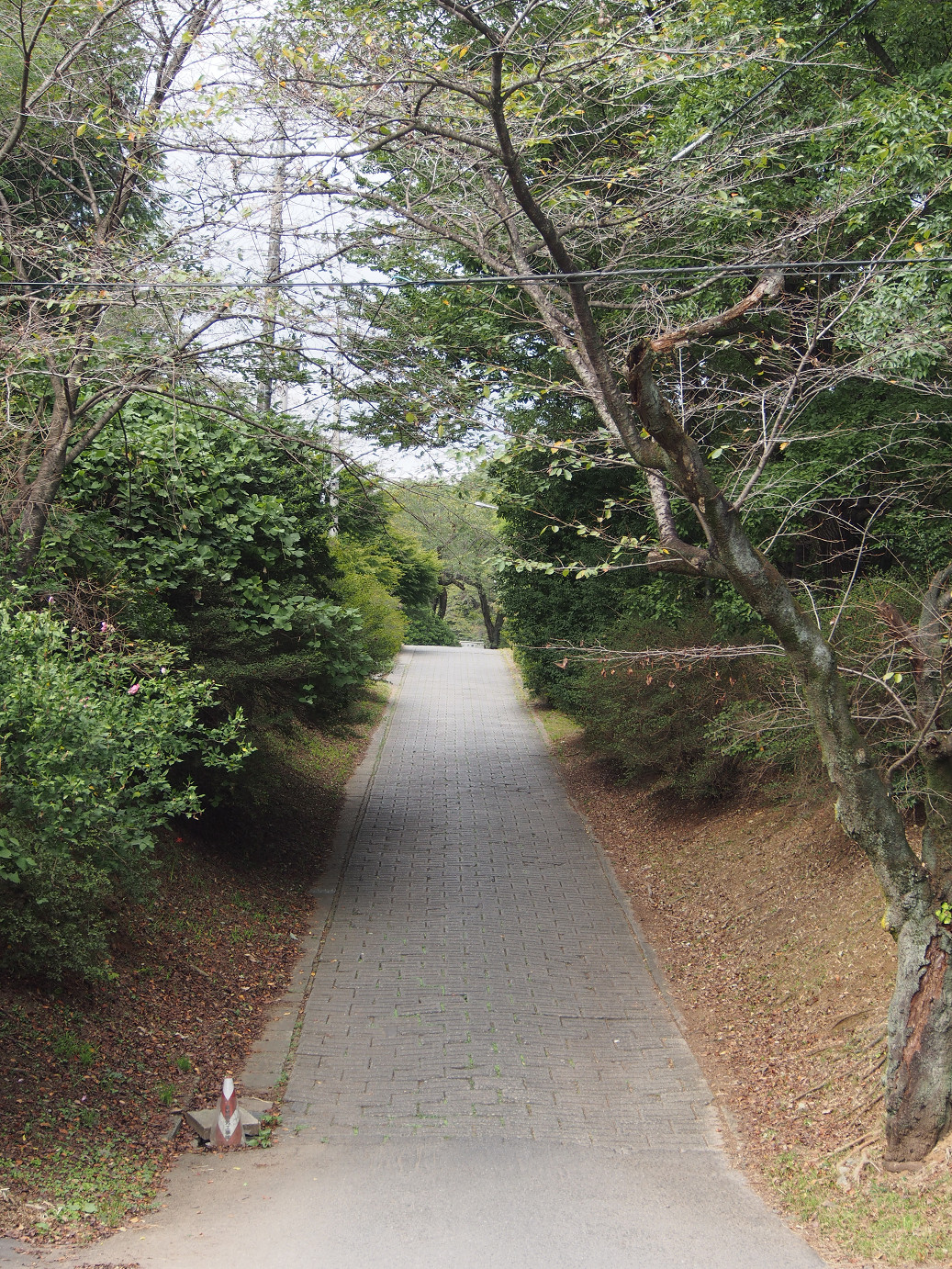 P9301228.jpg