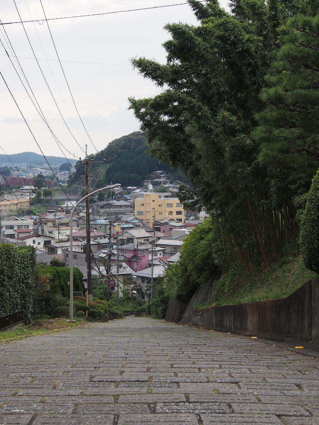 P9301236.jpg