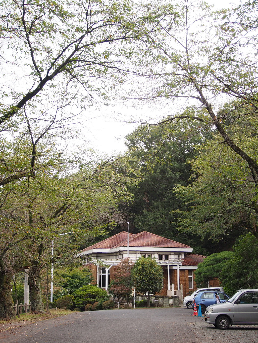 P9301259.jpg