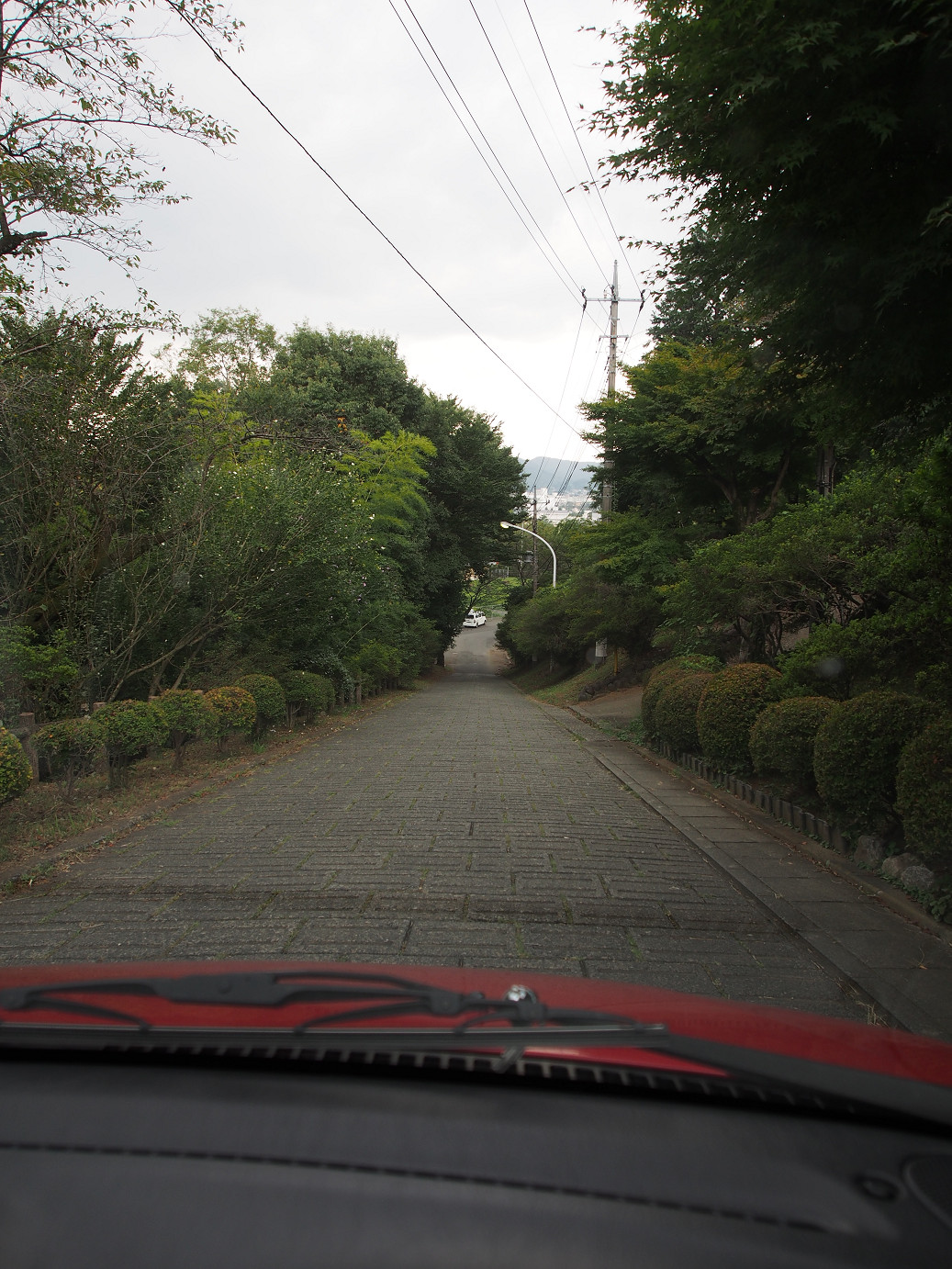 P9301260.jpg