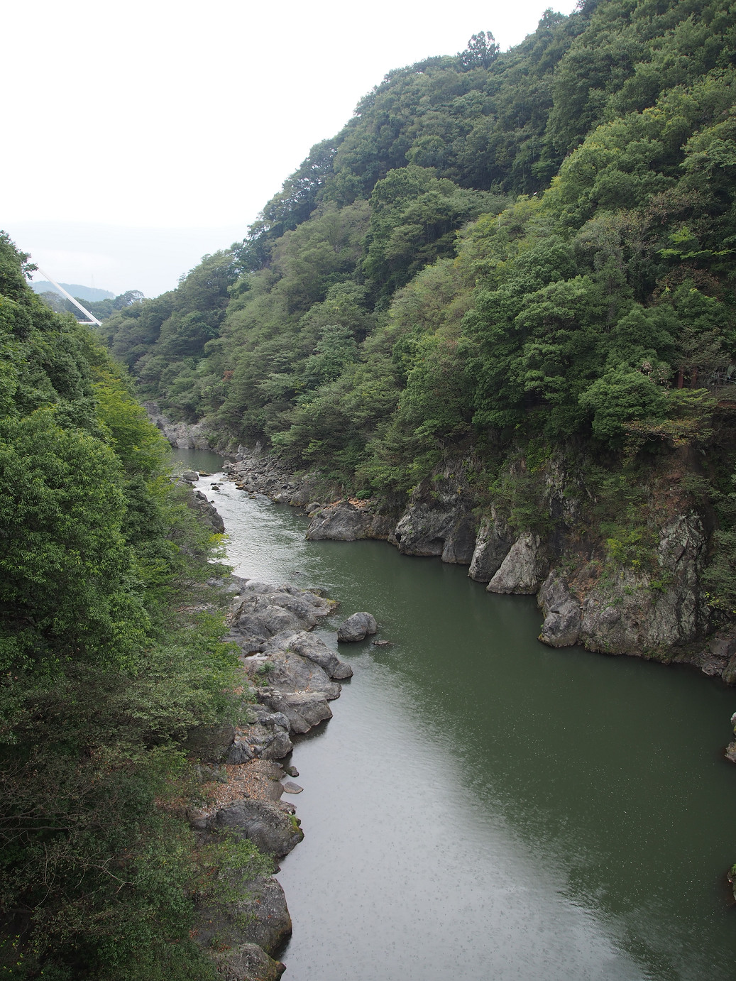 P9301265.jpg