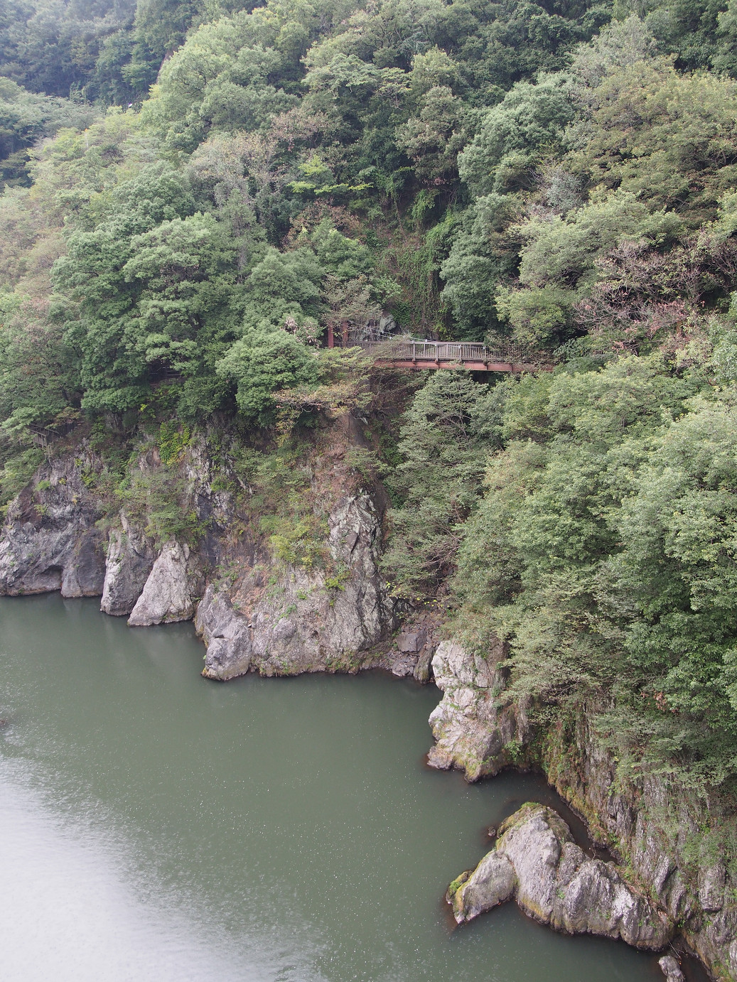 P9301268.jpg