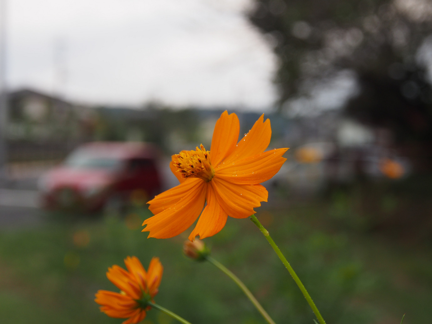 P9301279.jpg