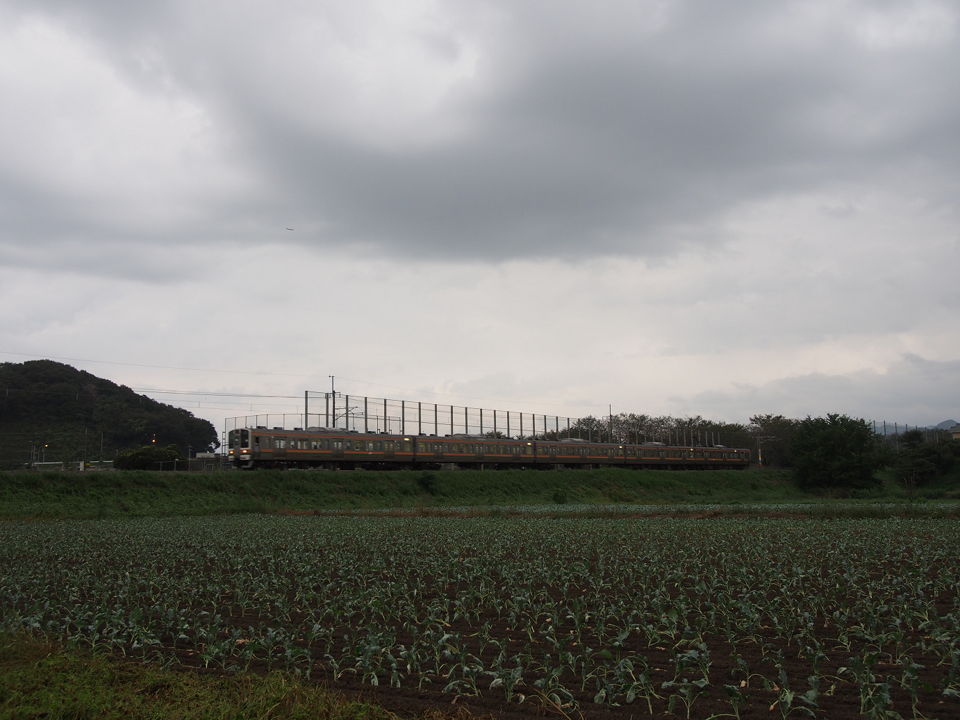 P9301289.jpg