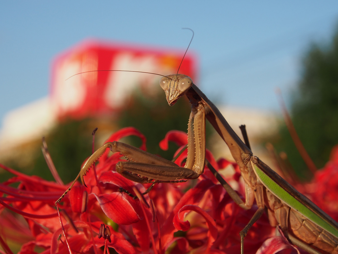 PA080144.jpg