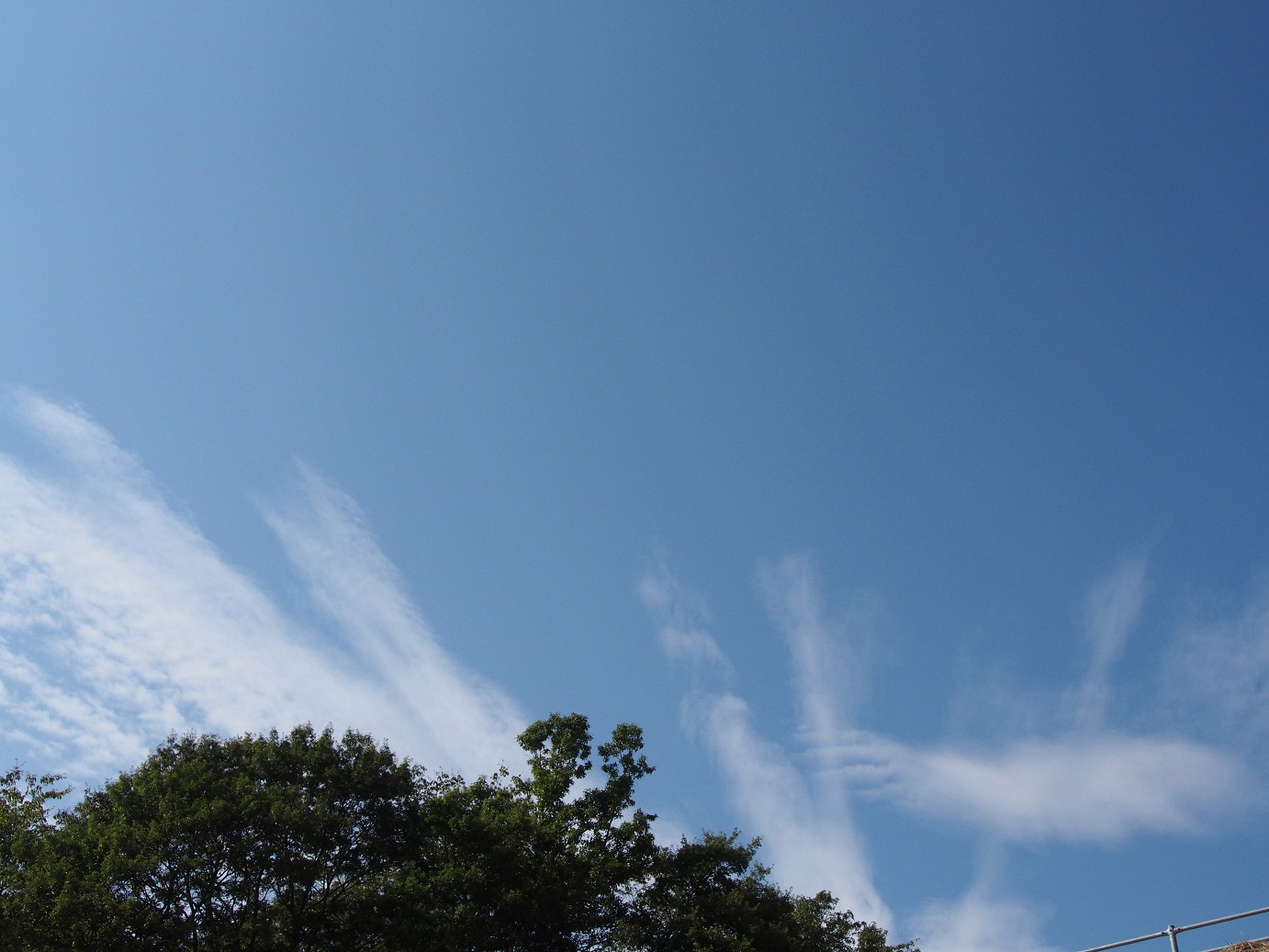 PA13040.jpg