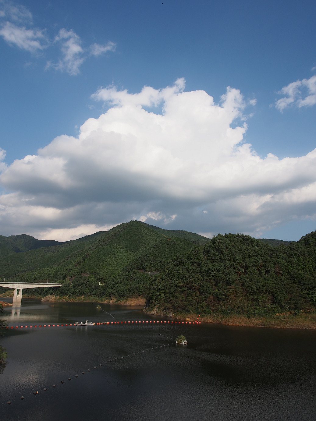 PAE203012.jpg