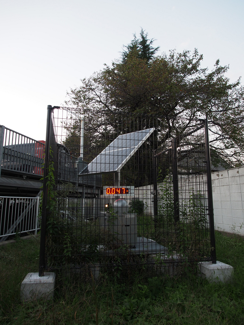 PAE203045.jpg