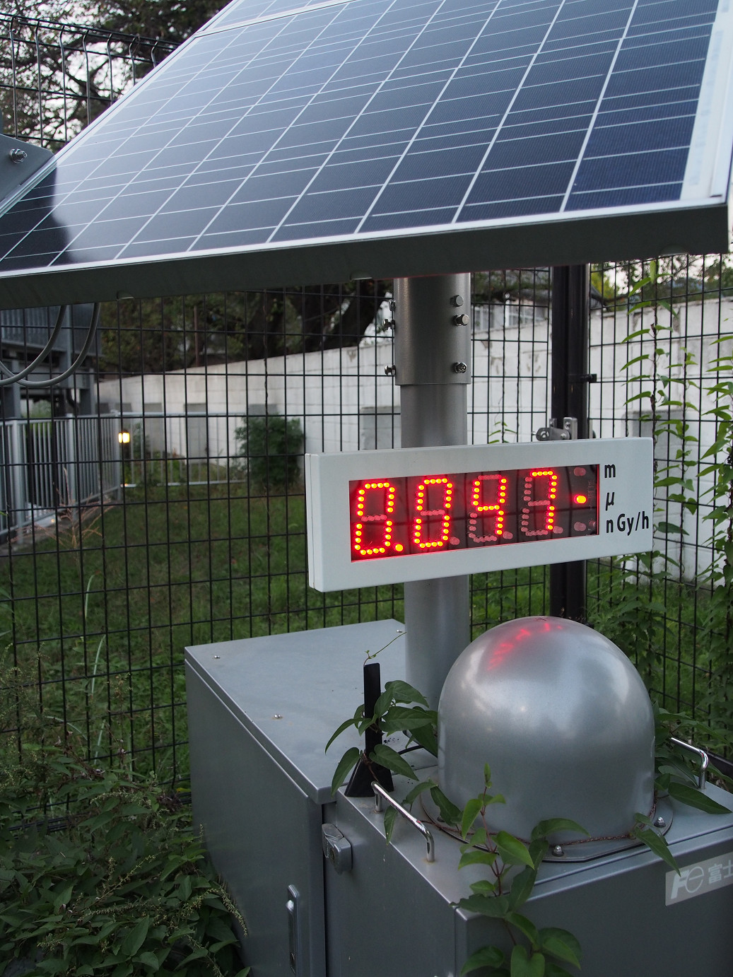 PAE203046.jpg