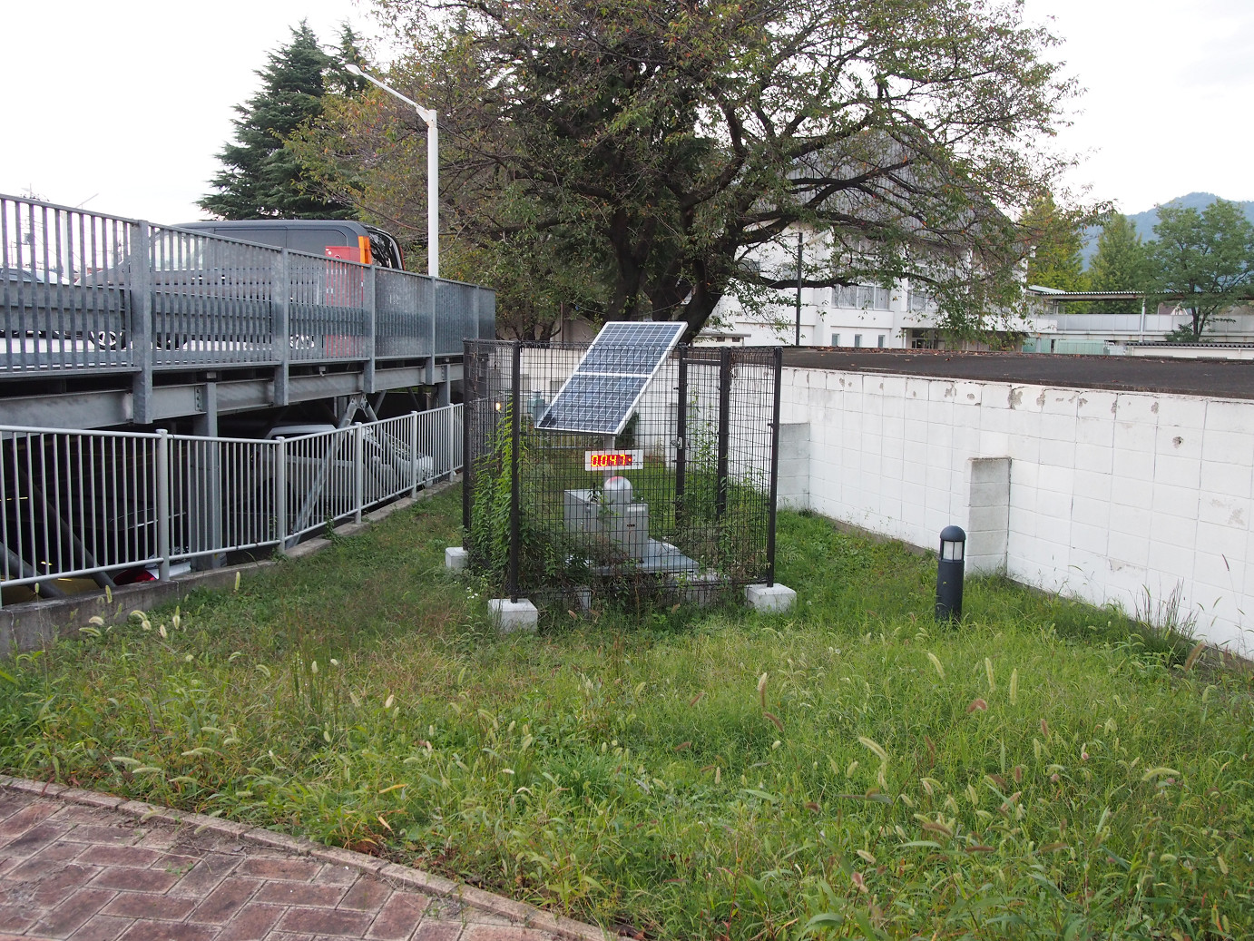 PAE203049.jpg