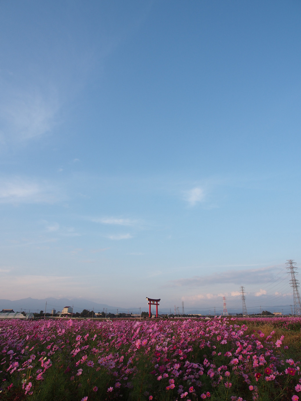 PA270316.jpg
