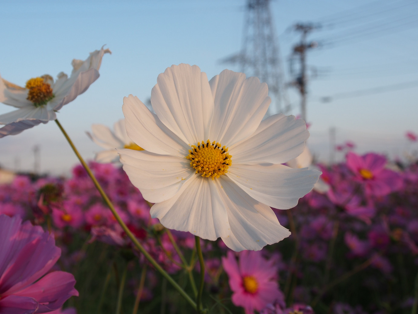 PA270322.jpg