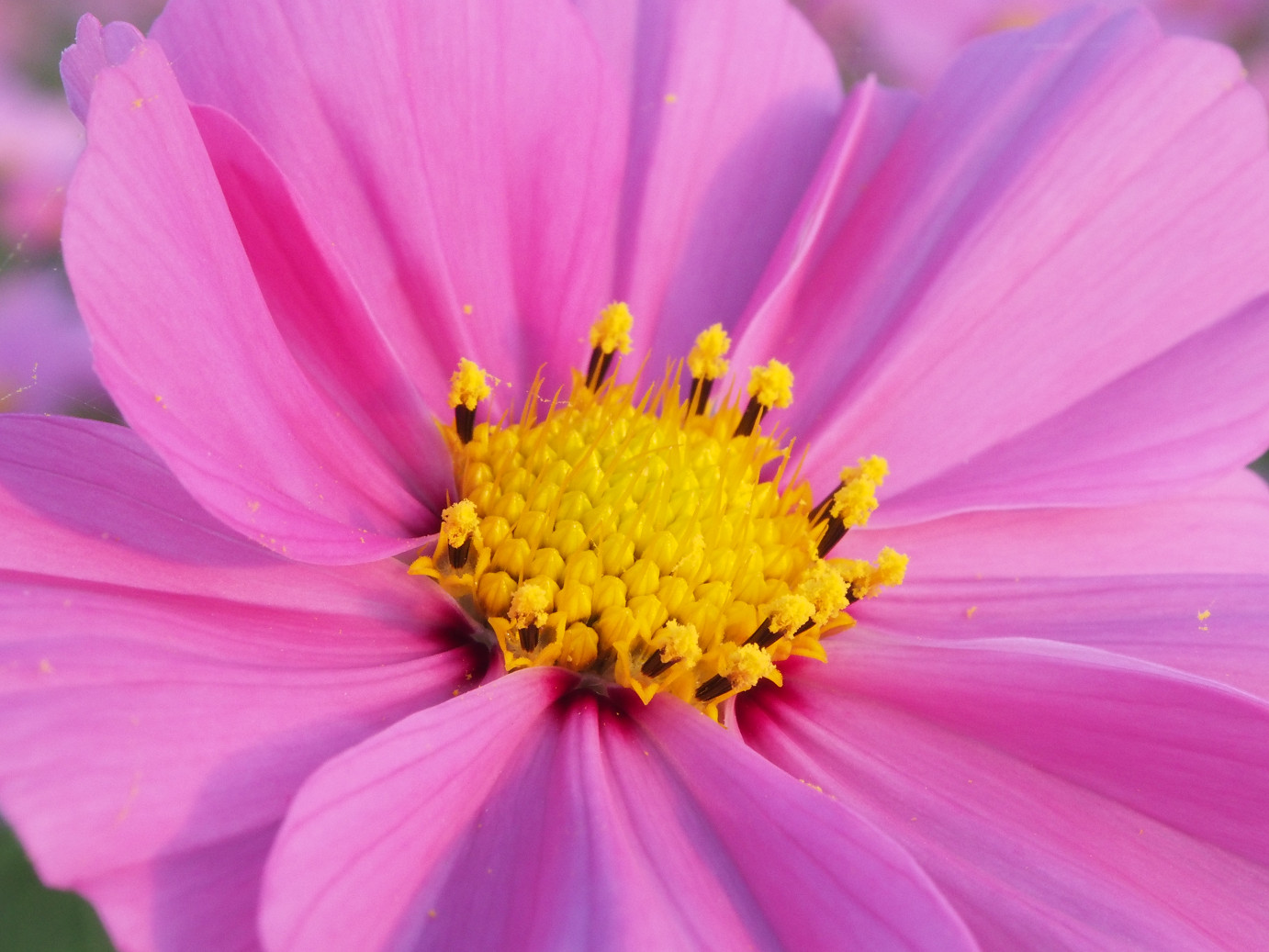 PA270327.jpg