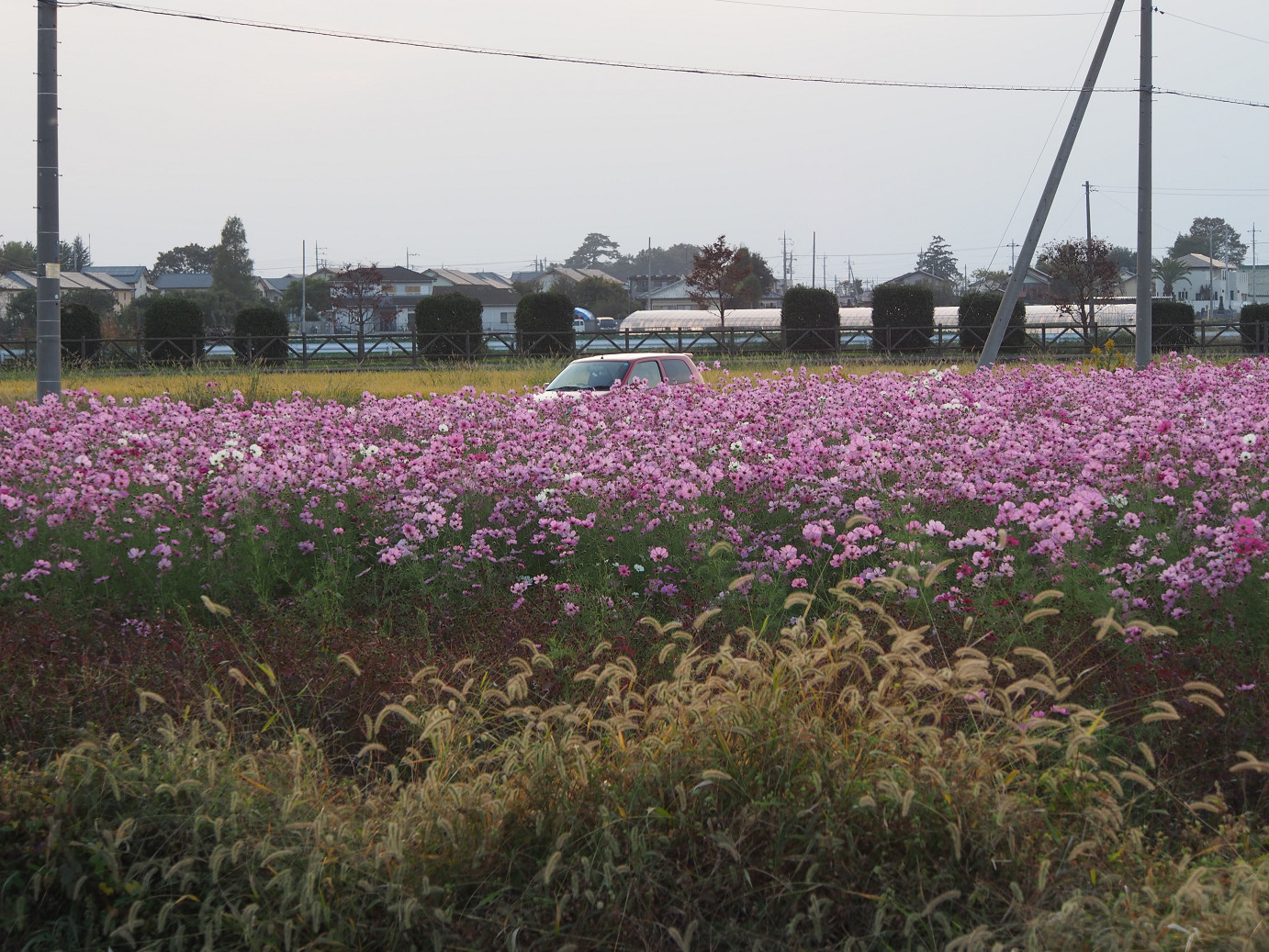 PA270340.jpg
