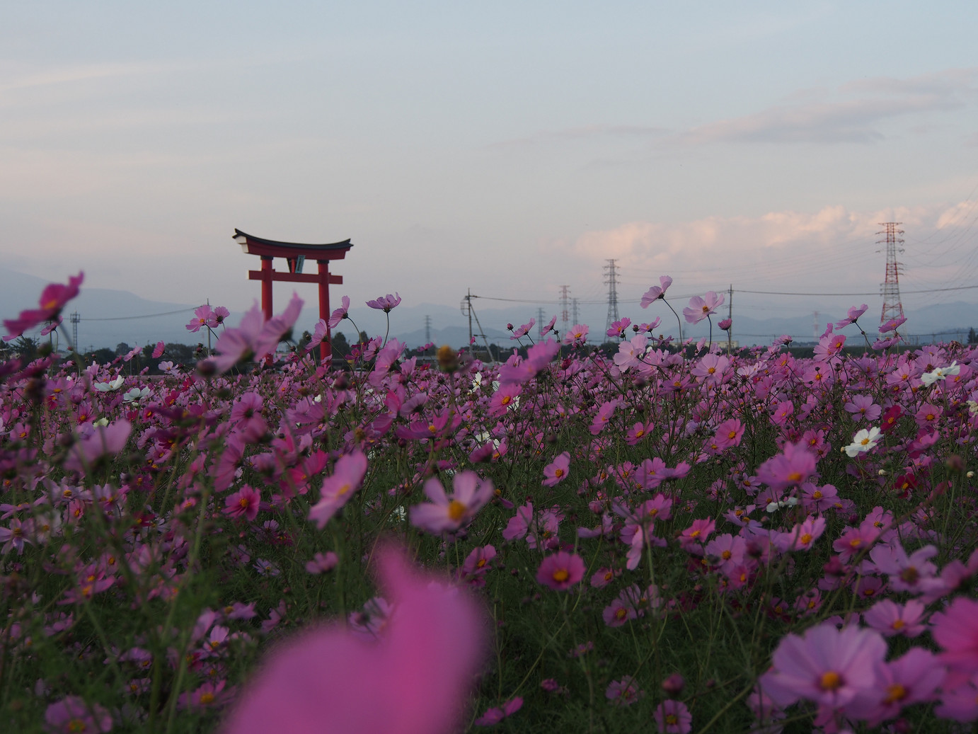 PA270345.jpg