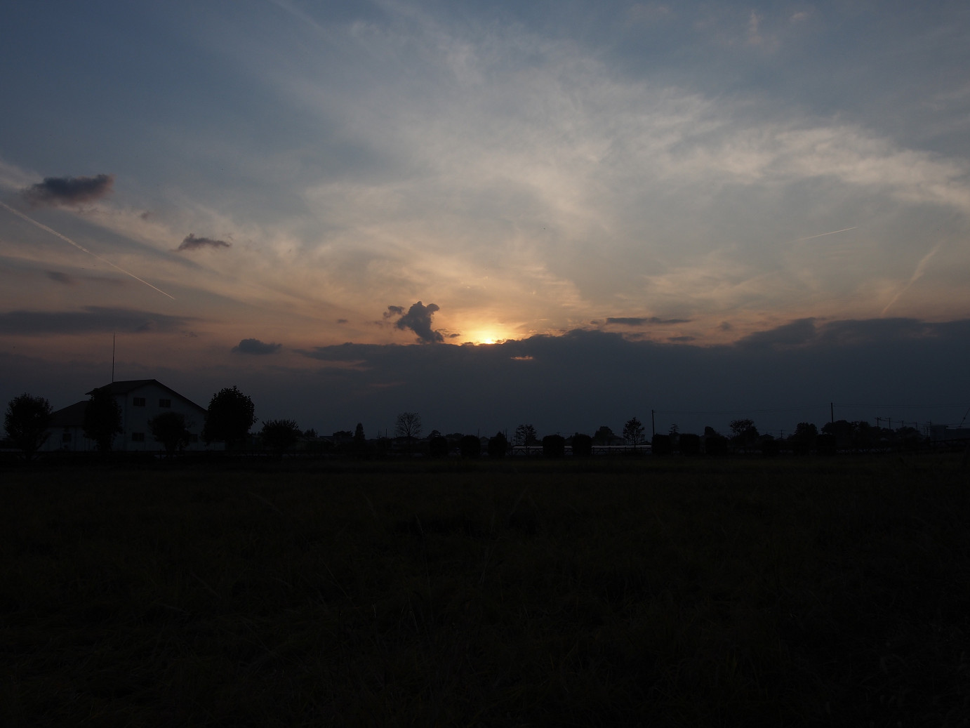 PA270349.jpg