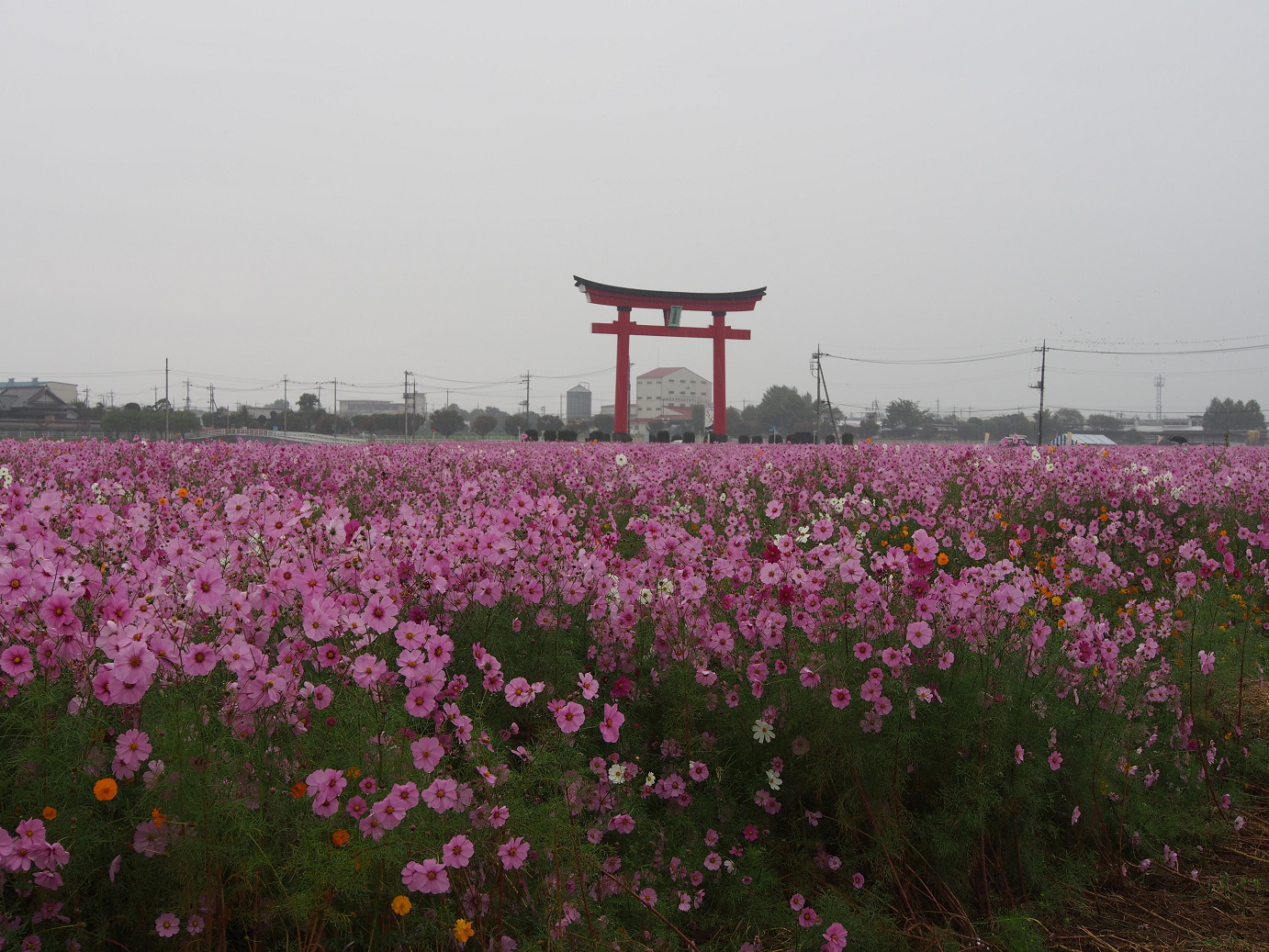 PA280395.jpg