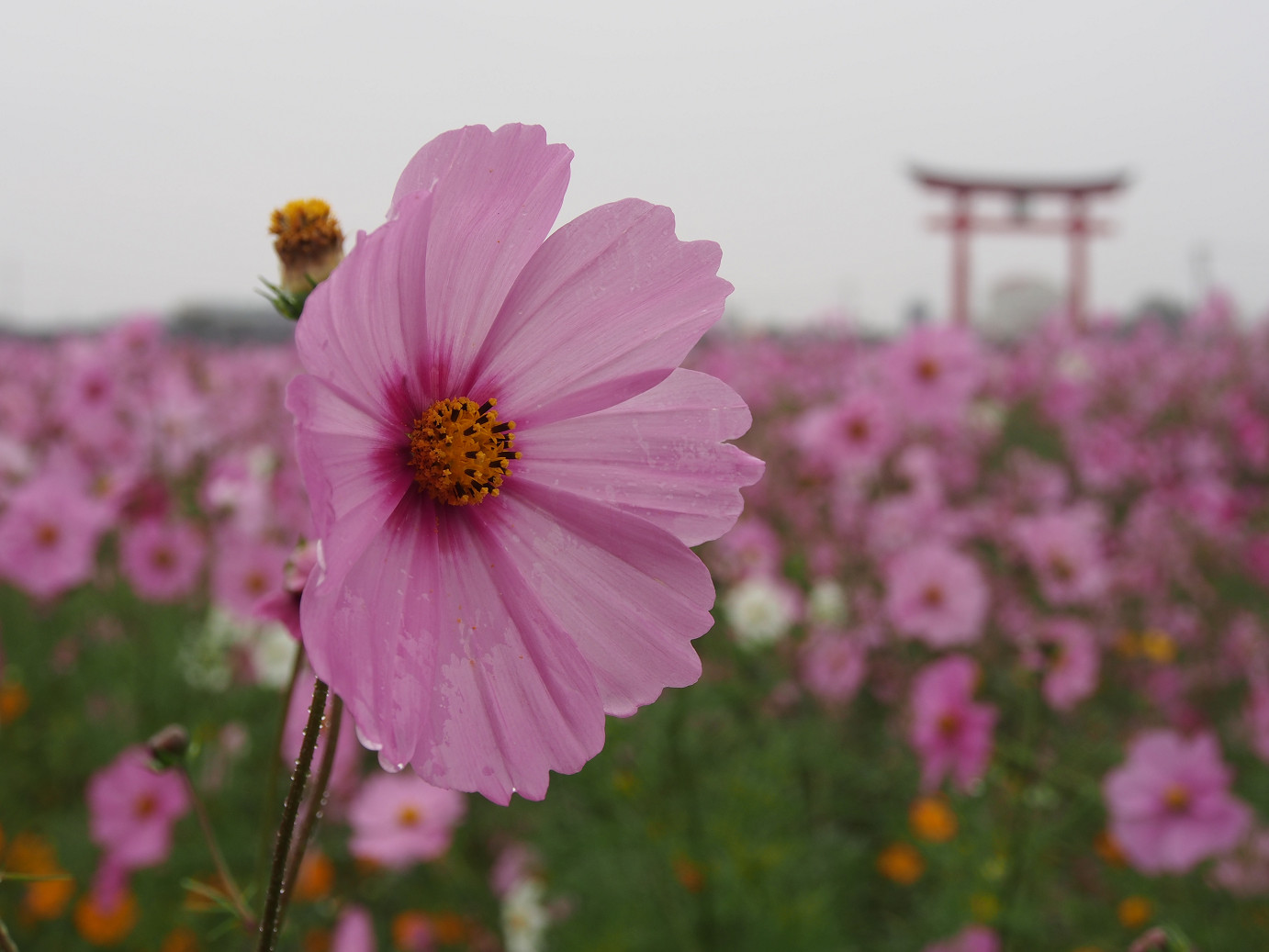 PA280403.jpg