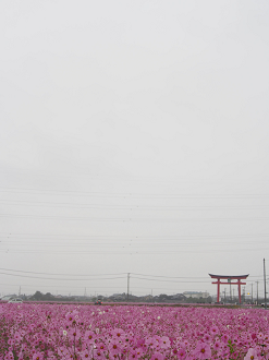 PA280411_thumb.png