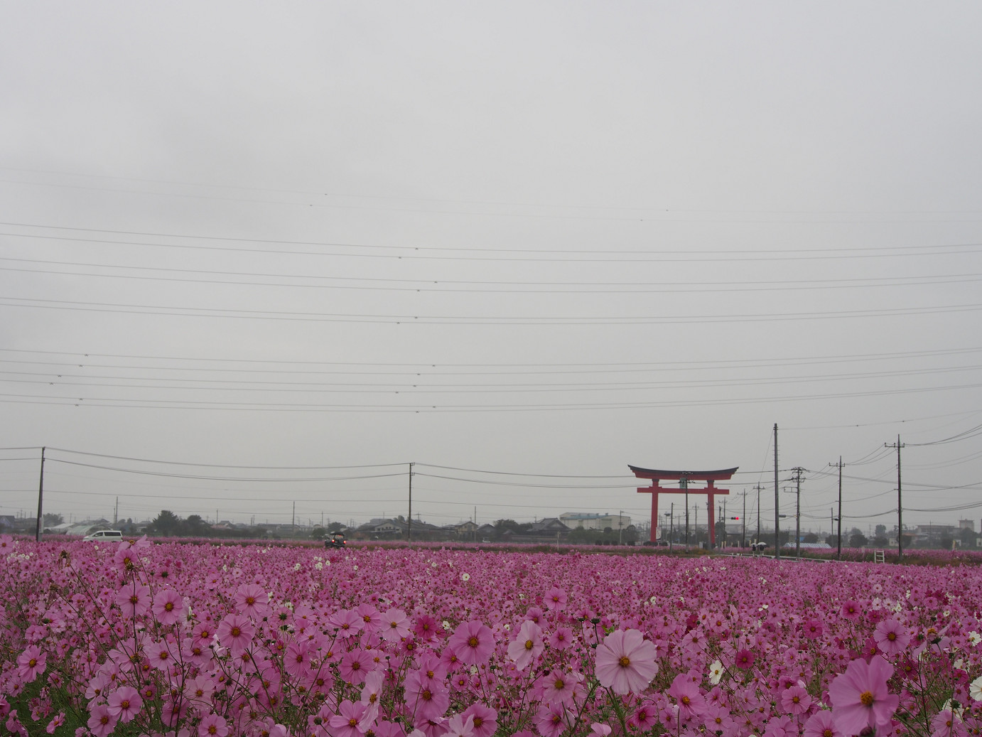 PA280413.jpg