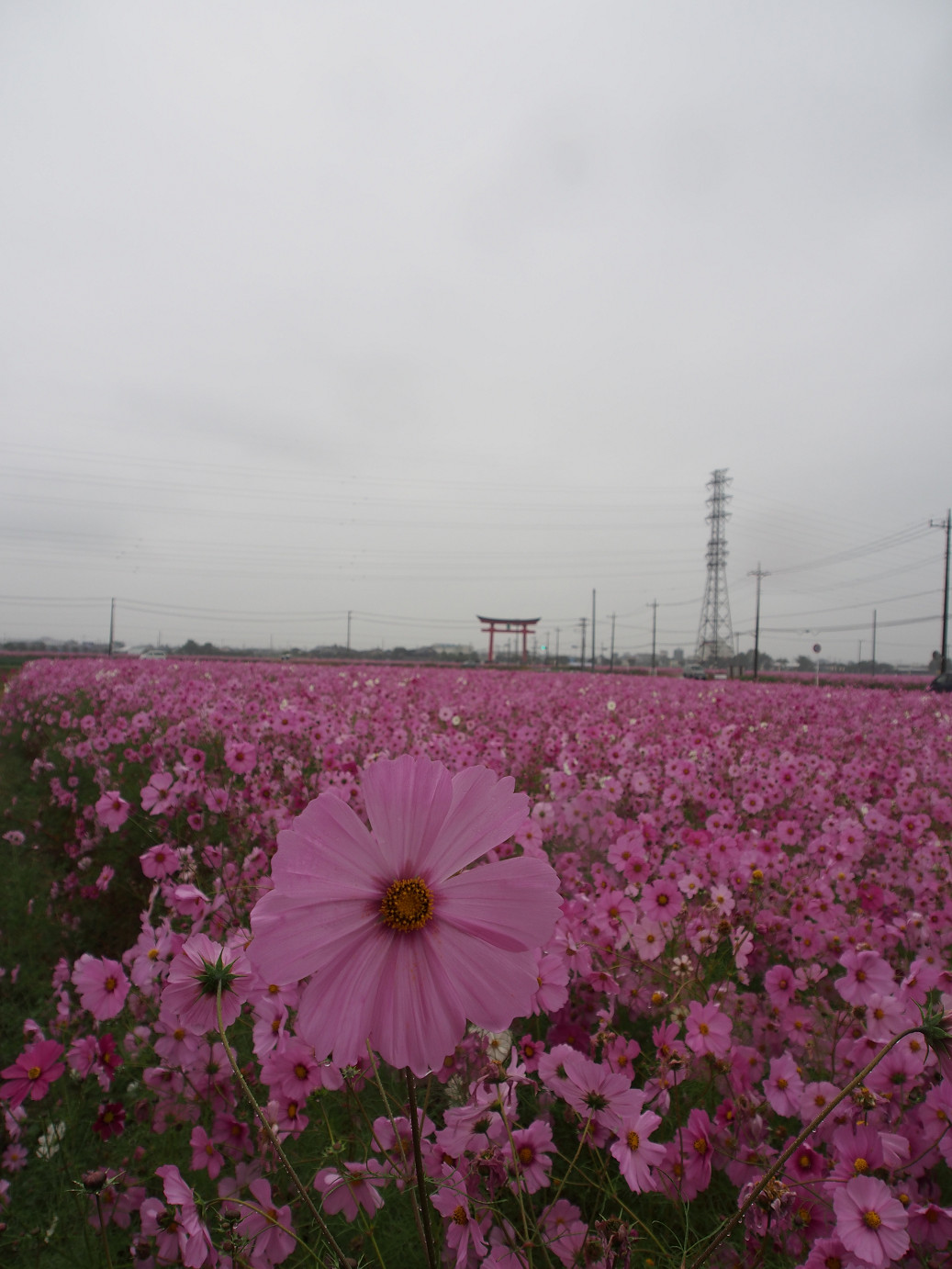 PA280420.jpg
