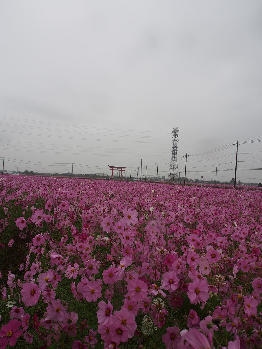 PA280421.jpg