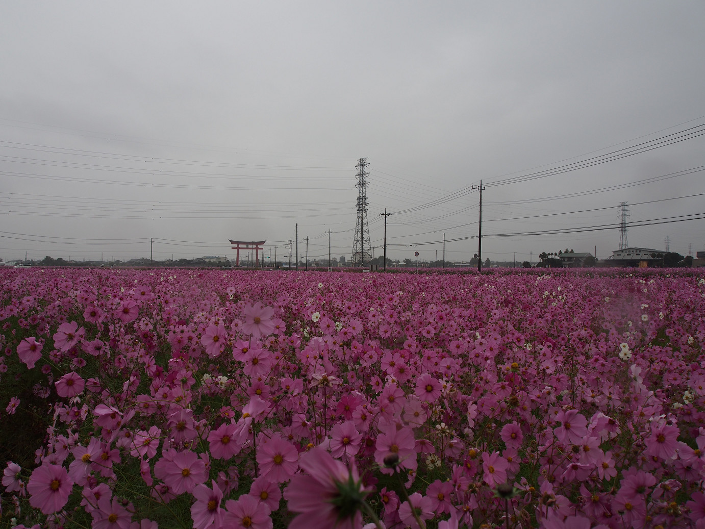 PA280422.jpg