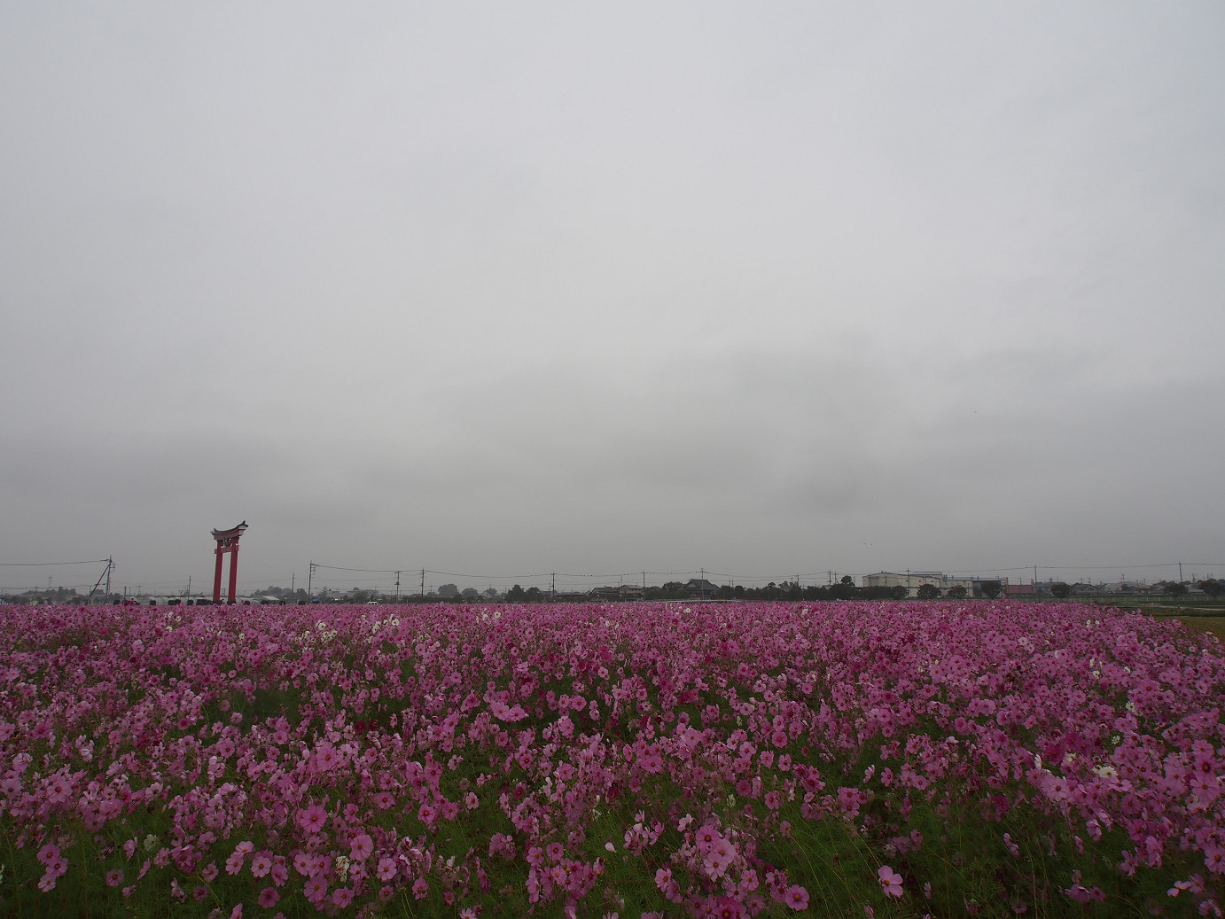 PA280444.jpg