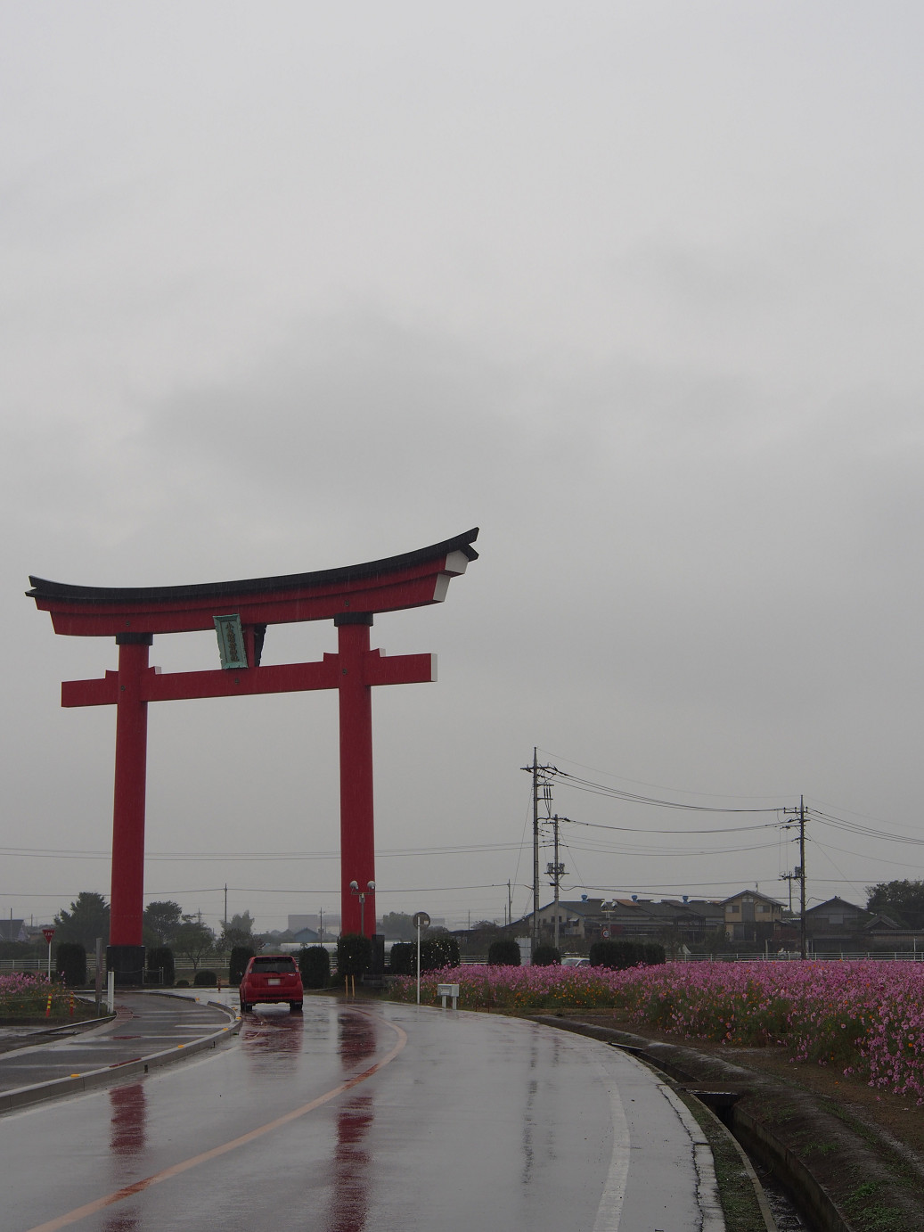 PA280450.jpg