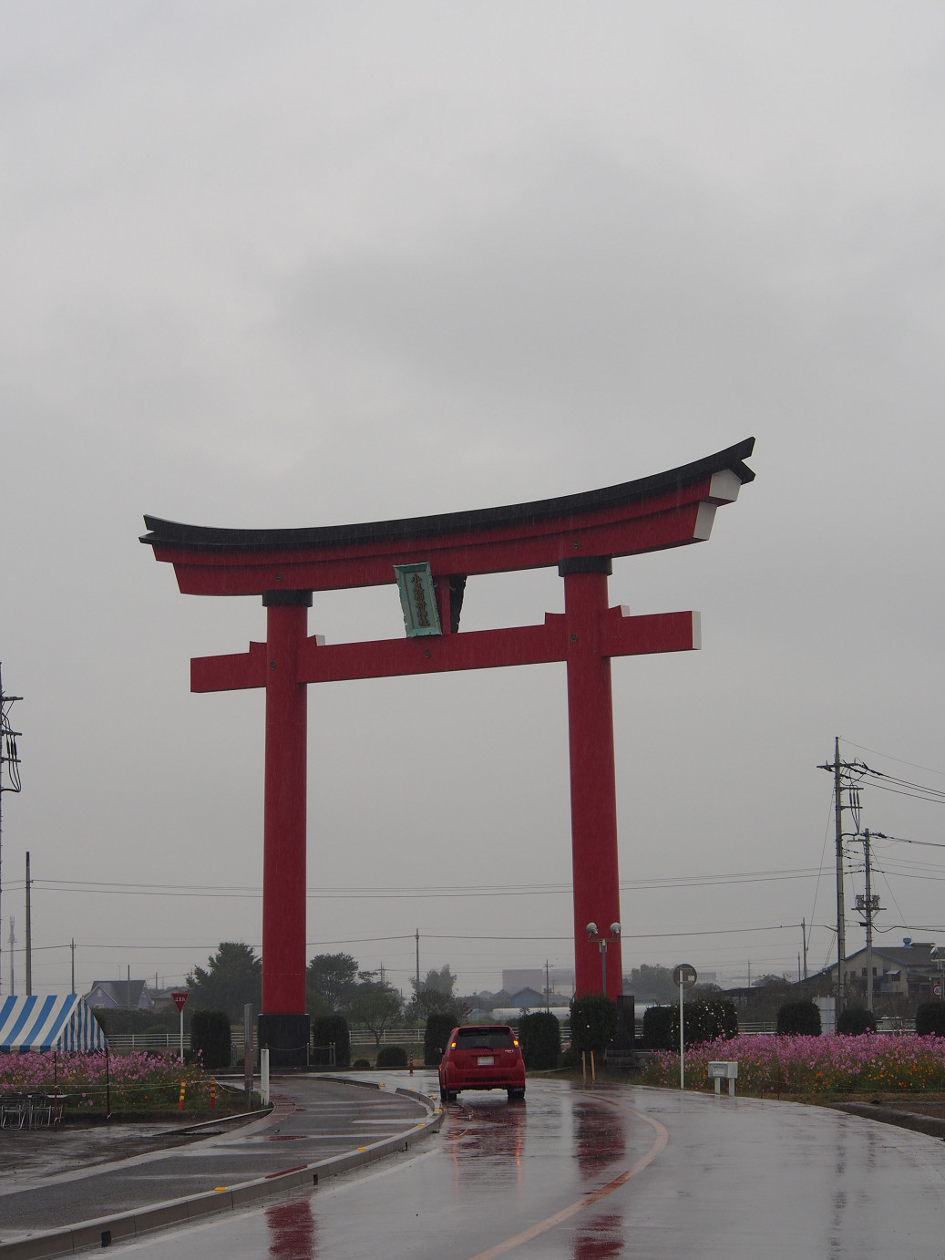 PA280451.jpg