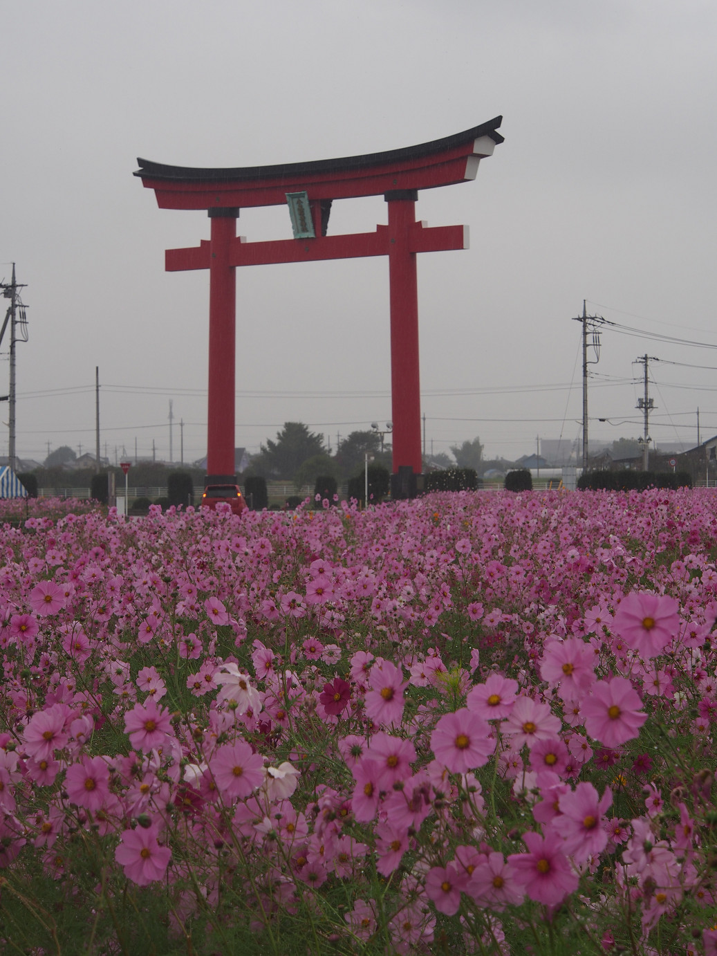 PA280458.jpg