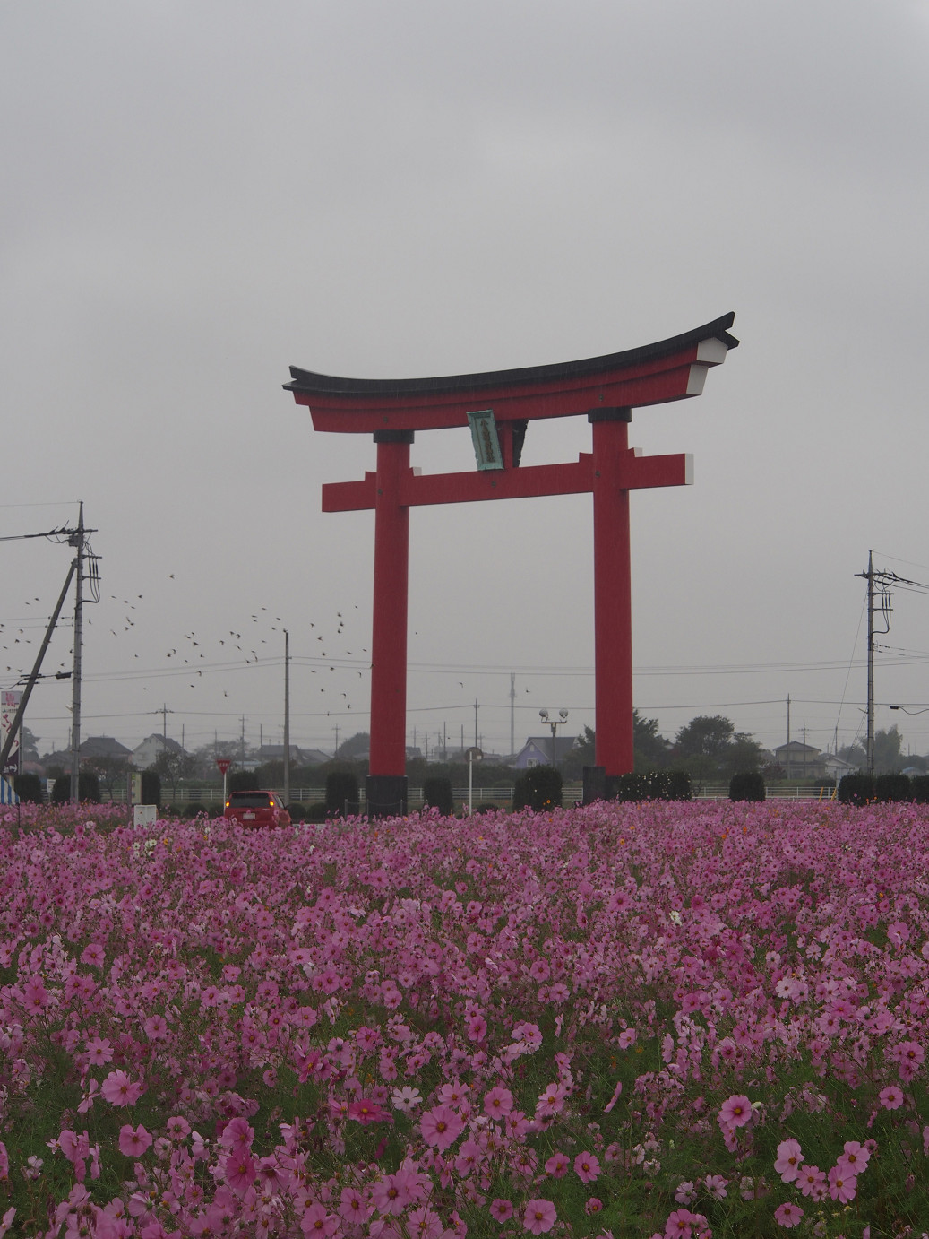 PA280461.jpg