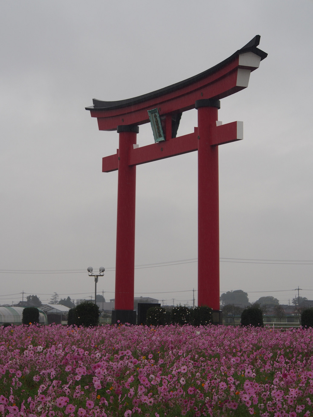 PA280465.jpg